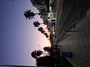 20240707_203107.jpg